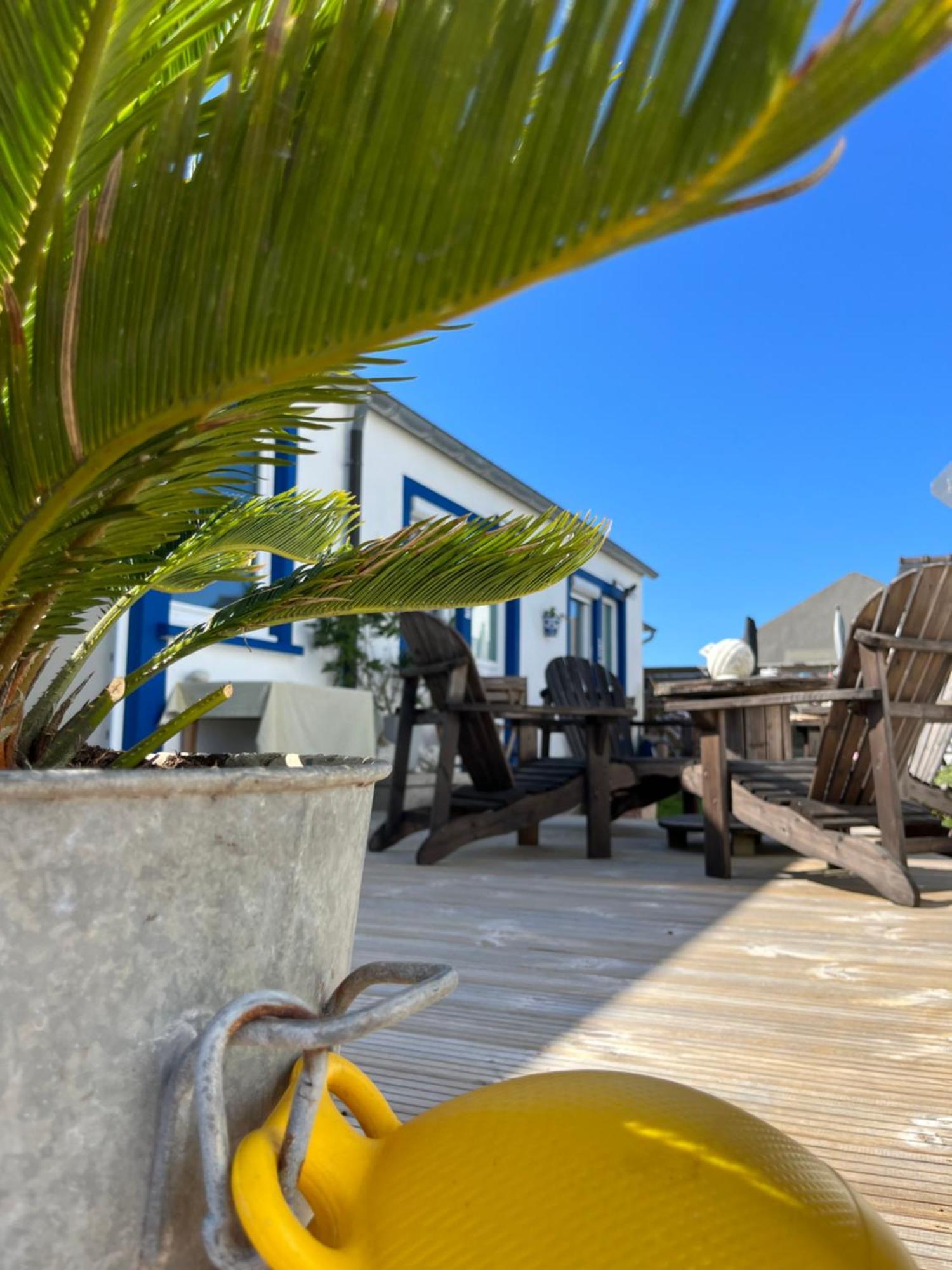 Ushant L'Atelier De Mezareun Bed & Breakfast エクステリア 写真