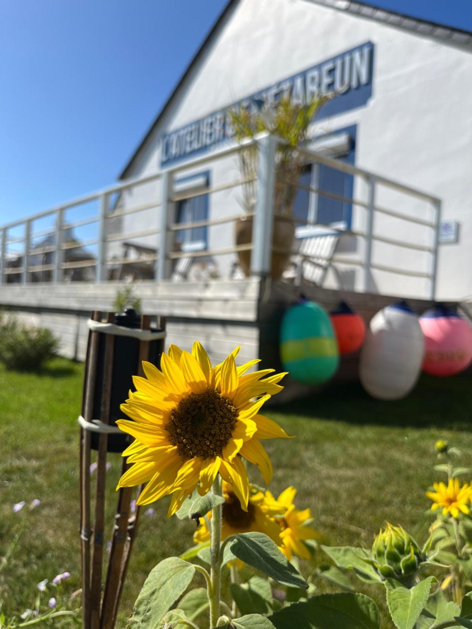Ushant L'Atelier De Mezareun Bed & Breakfast エクステリア 写真